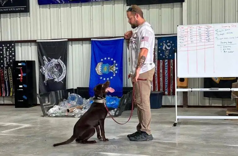 Unlock Your Dog’s Potential: Discover Powerful Training Philosophies